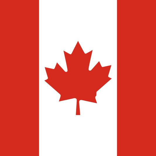 Canada eTA Application.